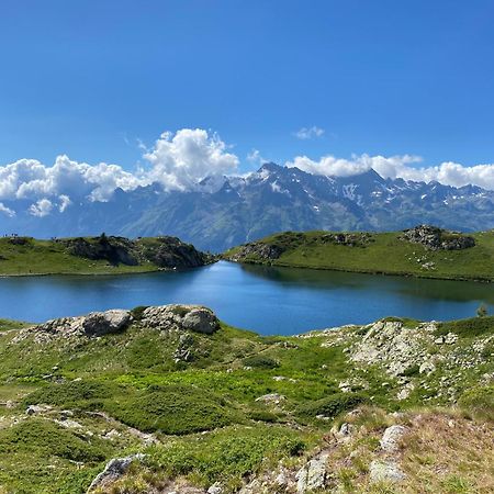 Chalet La Perle De L'Oisans - Appartements D'Exception Vaujany Zewnętrze zdjęcie